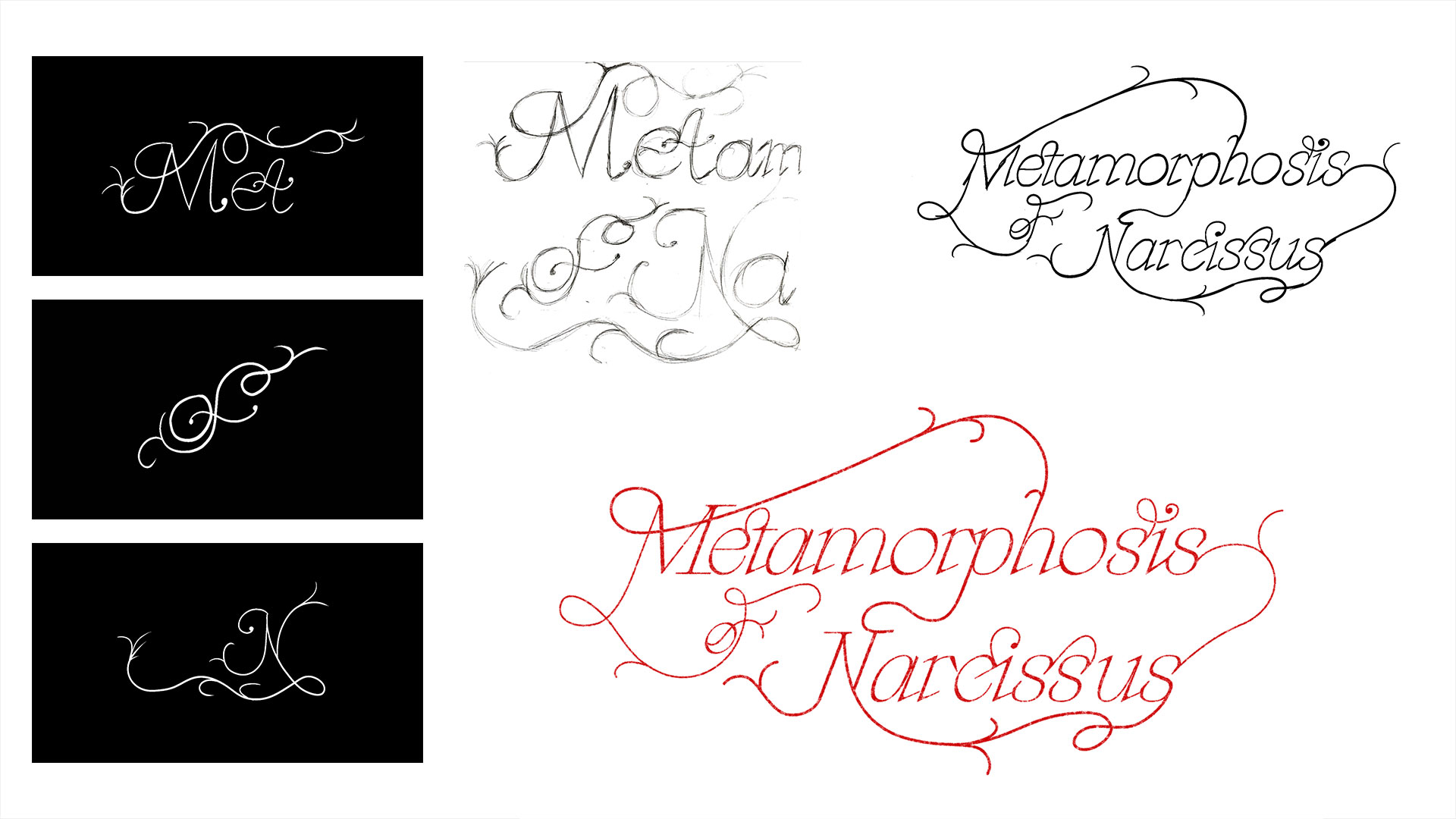 metamorphosis of narcissus motion design animation 2d laura francois